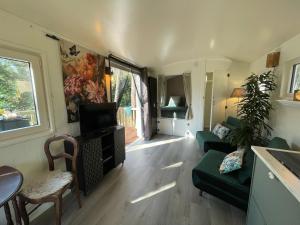 拉纳肯The Butterfly - Forest - Dog - Maastricht的带沙发和电视的客厅