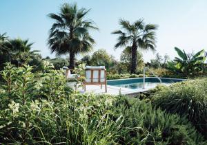 a pool with a chair and two palm trees at Conti Thun Wine Resort in Puegnano del Garda
