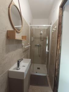 a bathroom with a shower and a sink and a mirror at villa Léonfine in Le Cannet-des-Maures