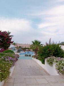 un complexe avec une piscine et quelques fleurs dans l'établissement Badawia Sharm Resort, à Charm el-Cheikh