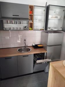 a kitchen with a sink and a refrigerator at Sara Lux in Lukavica