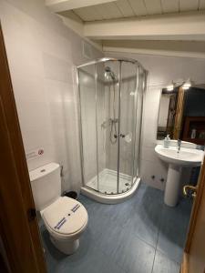 a bathroom with a shower and a toilet and a sink at Atuaire Home Mirador de Saldaña en pleno centro Historico in Burgos +5 photos