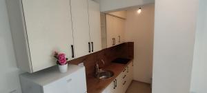 パレにあるStan na dan Višnjaの白いキャビネットとシンクのあるキッチン