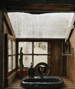 a bathroom sink with a window and a cactus at Cabana na Tree in Urubici