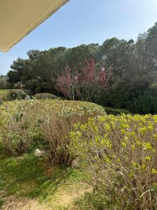 een bloemenveld met bomen op de achtergrond bij Flower Suite & Spa, air-conditioned and beach in La Seyne-sur-Mer