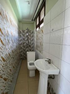 达累斯萨拉姆Home的带马桶和水槽的浴室