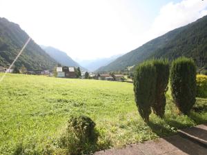 a green field with trees in a field with mountains at Apartment Studio Grenta by Interhome in Gortipohl