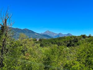 a view of trees and mountains in the distance at Ca' Dij Noni in Strona