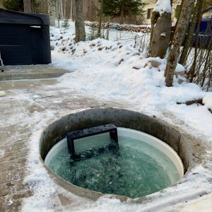 a tub filled with water in the snow at Arctic Garden Design Villa in Rovaniemi