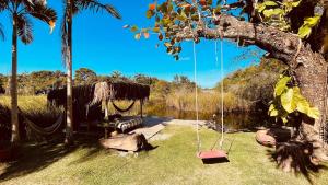 a swing hanging from a tree next to a lake at Chale Encanto do Rio in Porto Seguro
