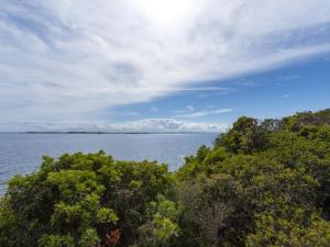 Příroda nedaleko prázdninového domu