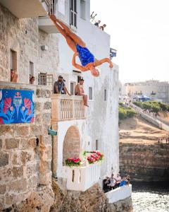 Příroda nedaleko penzionu