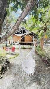 Verandas Beach Resort في Carmen: أرجوحة معلقة من شجرة أمام المنزل