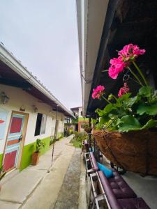 a potted plant sitting on the side of a building at Hostal Don Jose in Santa Rosa de Cabal