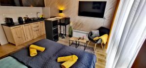 a small room with a bed and a kitchen at Apartments Ogi in Divčibare