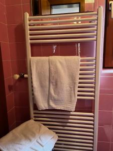 圣安东阿尔贝格Apart Dorr的浴室毛巾架上的毛巾 更多12张照片
