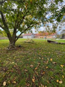 a picnic table under a tree in a park at FERIENHAUS Kuća za odmor DJEDIN ORAJ 