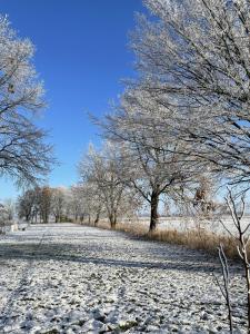a snow covered field with trees in the background at In't Noord Koje in Tossens +11 photos