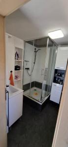 a bathroom with a shower and a sink at Bungalow Stuebner in Barnin +31 photos