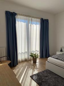 a bedroom with blue curtains and a bed with a plant at Residenze Lizzeri-Casa Moniga in Moniga