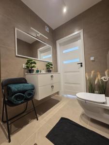 a bathroom with a toilet and a sink and a mirror at Leśny Zakątek I Małe Bieszczady w Rzeszowie I grill sauna Starowiejska 6 Rzeszów in Rzeszów +61 photos