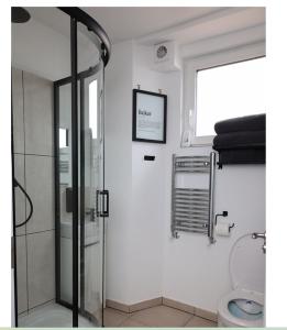 a bathroom with a shower and a toilet at Auld Shebeen in Moate
