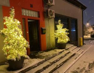 two christmas trees in pots in front of a building at Apartament Rondo in Trzebinia