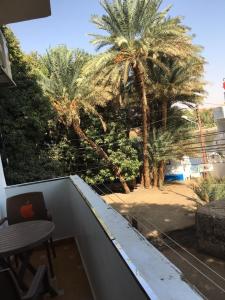 a balcony with palm trees and a table and a patio at Gana kato in Aswan