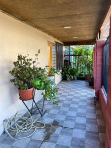 a porch with potted plants on the side of a house at House in Molina in Molina