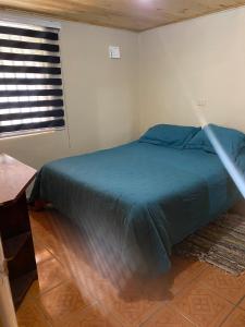 a bedroom with a blue bed in a room with a window at House in Molina in Molina