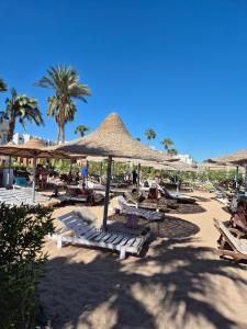 una playa con sillas y sombrillas y palmeras en Elixir Hotel Hurghada, en Hurghada