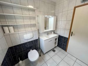 a bathroom with a toilet and a sink and a mirror at Apartment Empire in Klek +53 photos
