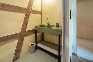 a bathroom with a green sink and a toilet at The incredible Alsatian house of the 21st century in Hangenbieten