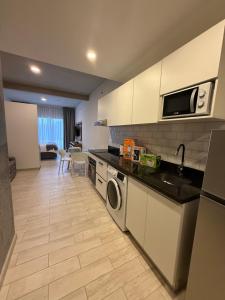 een keuken met een wastafel, een wasmachine en een droger bij Tannat Soho in Asuncion