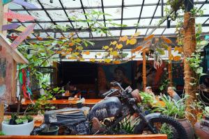 a motorcycle parked in a room with plants at SECRET GARDEN Hostel - WANDERNEST Cat Ba in Cat Ba