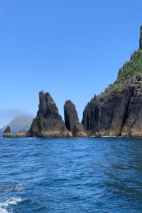 Příroda nedaleko prázdninového domu