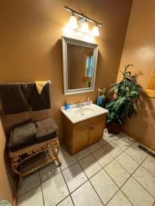 een badkamer met een wastafel, een spiegel en een plant bij Top Mtn Views, Hottub, Games, 4 Suites, Pets in Sevierville +33 foto's