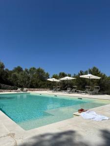 Bazén v ubytování Villa Leonardo Luxury Locorotondo nebo v jeho okolí