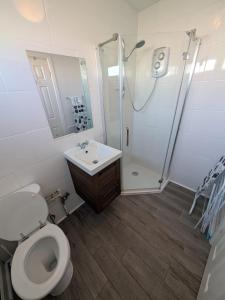 a bathroom with a toilet and a shower and a sink at 194, Belle Aire, Hemsby - Two bed recently renovated chalet, sleeps 4, pet friendly, free Wi-Fi and bed linen and towels included in Hemsby