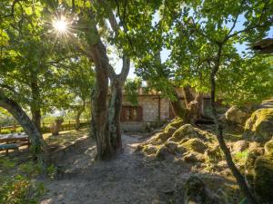 Zahrada ubytování Holiday Home Sottopoggetto by Interhome + 30 fotografií