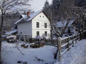 a herd of animals standing in front of a house in the snow at Petrovický mlýn in Kasanice