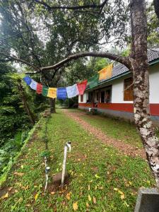 une maison avec une corde à linge devant une cour dans l'établissement Nutmeg nirvana, à Erāttupetta