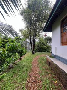 un chemin de terre à côté d'une maison avec un banc dans l'établissement Nutmeg nirvana, à Erāttupetta 3 autres photos