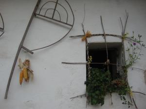 a window with a cat on the side of a building at Petrovický mlýn in Kasanice