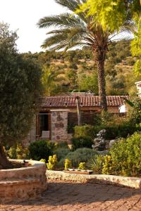 a house with a palm tree in front of a yard at Kassandra Heritage in Fethiye