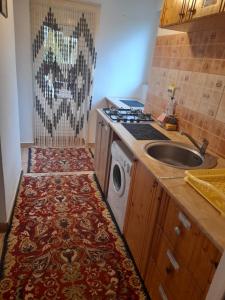 a kitchen with a sink and a washing machine at Casa Teonia in Tăşnad