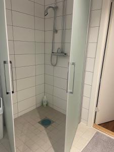 a shower with a glass door in a bathroom at Rudbecksgatan BB in Eskilstuna +48 photos
