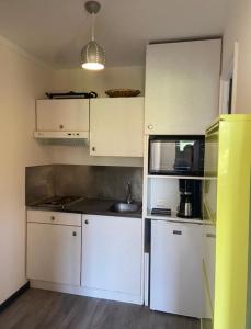 Η κουζίνα ή μικρή κουζίνα στο Studio à Gérardmer, les Dryades