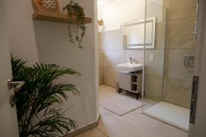 une salle de bain avec un lavabo et une douche avec un miroir dans l'établissement Aparthotel Casa Vasco - by Willms & Schömer eG, à Euskirchen