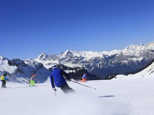 Σκι σε αυτό το διαμέρισμα ή εκεί κοντά